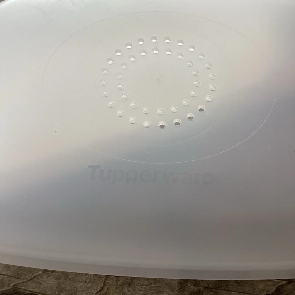 Tupperware CheeSmart Large Rectangular storage keeper